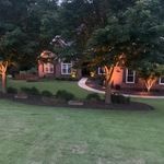 Lighting