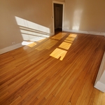 Hardwood floor clean steam & sanitize