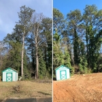 Tree Service Project