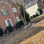 Tree Service Project