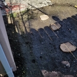 Demo