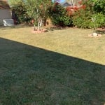 SOD project