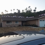 Roof job