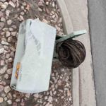 Before - Ped picture