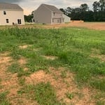Tall Fescue Backyard Renovation