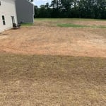 Tall Fescue Backyard Renovation