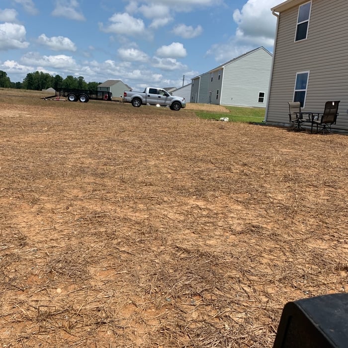 Tall Fescue Backyard Renovation