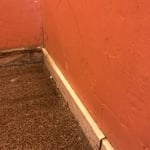What we started with, sewer soaked carpet, drywall, trim, yuck.