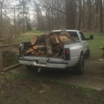 Chris's 2 month Tree Removal project