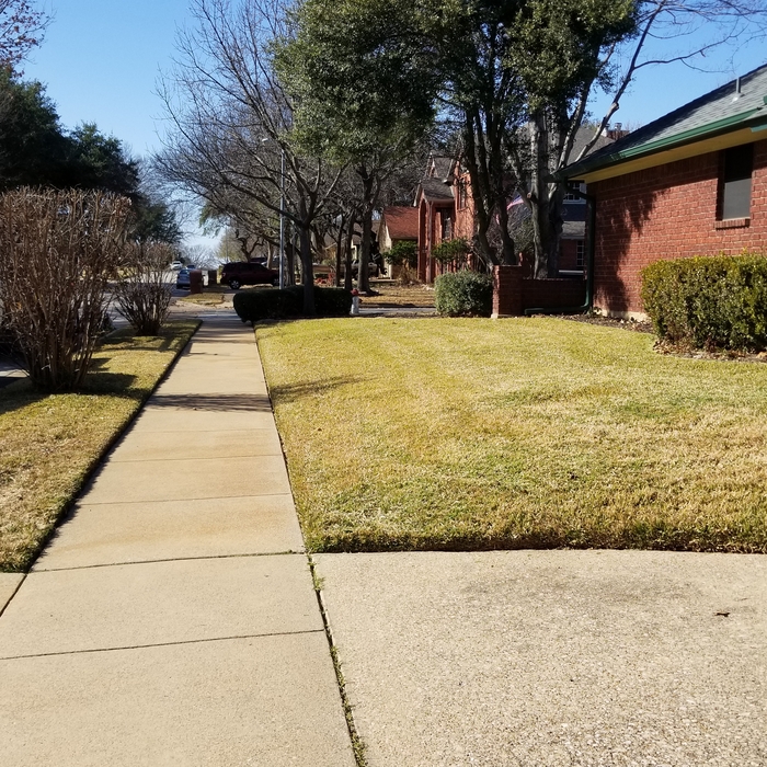 Additional Photos
