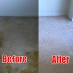 Pet urine stains removed.