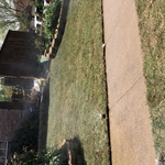 Tree Service Project