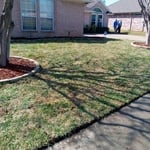 Tree Service Project