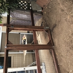 Custom fence and gate
