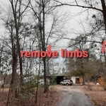 Trimming in Ridgeville