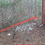 Trimming in Ridgeville
