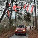 Trimming in Ridgeville
