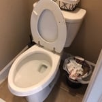 Bathroom cleaning
