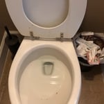 Bathroom cleaning