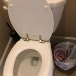 Bathroom cleaning