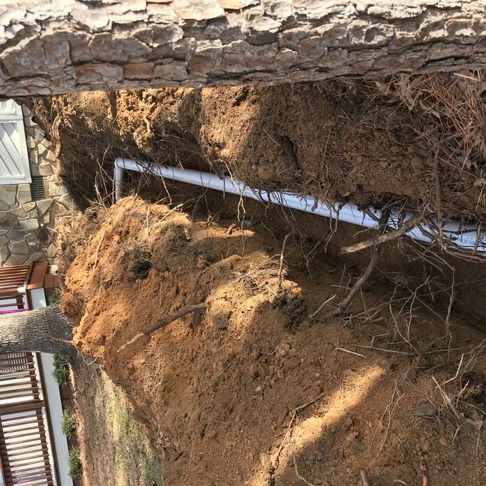 Sewer line Replacement