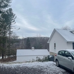 Tree Removal/Residential
