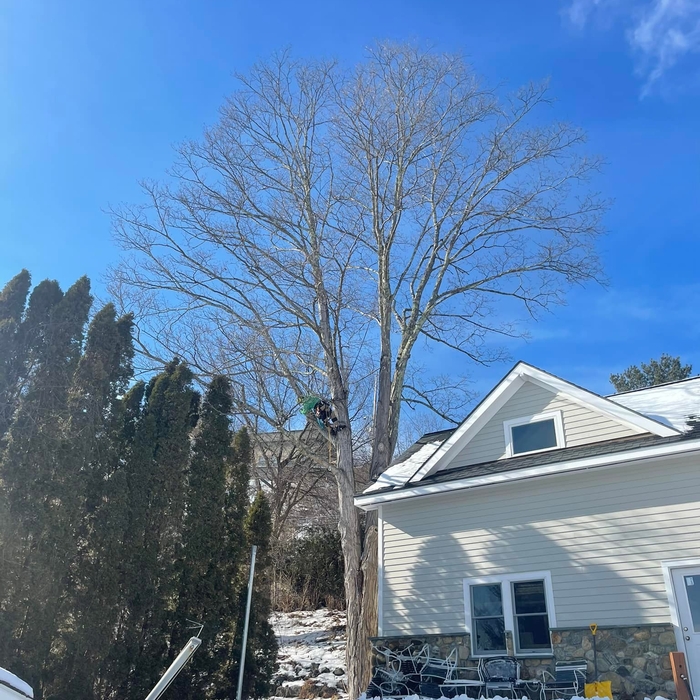 Additional Photos