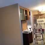 Start of project before removal