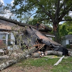 Emergency Removal from Roof
