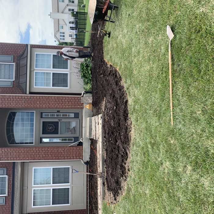 New Landscaping