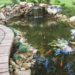 Pond