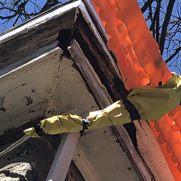 Additional Photos