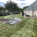Landscaping Project