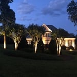 House Landscape Lighting