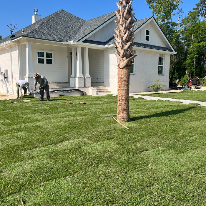 Additional Photos