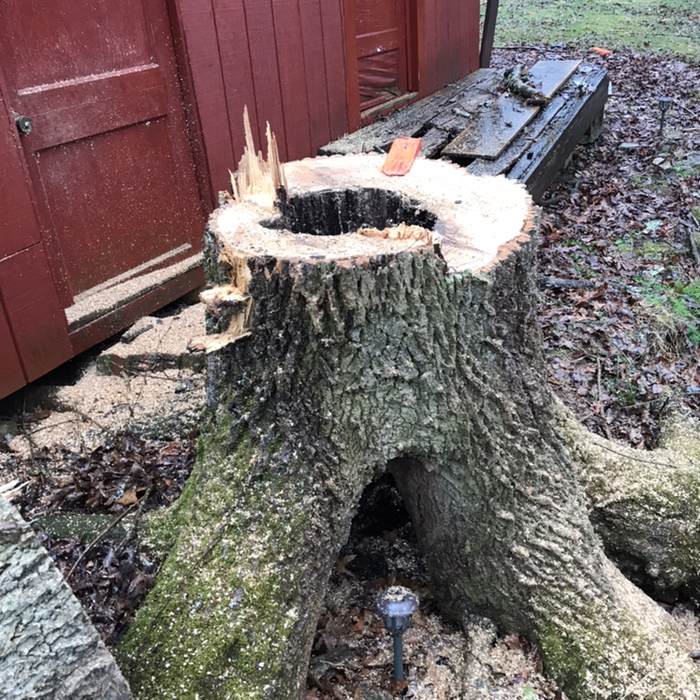 Additional Photos