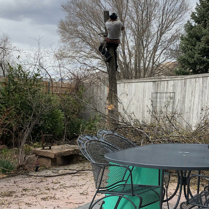 Additional Photos