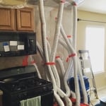 Mold removal and protection treatment