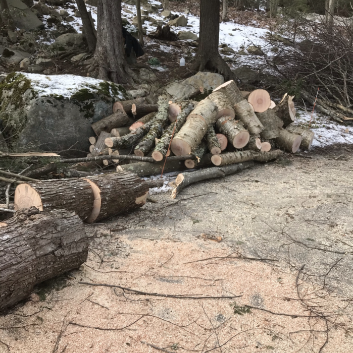 Additional Photos