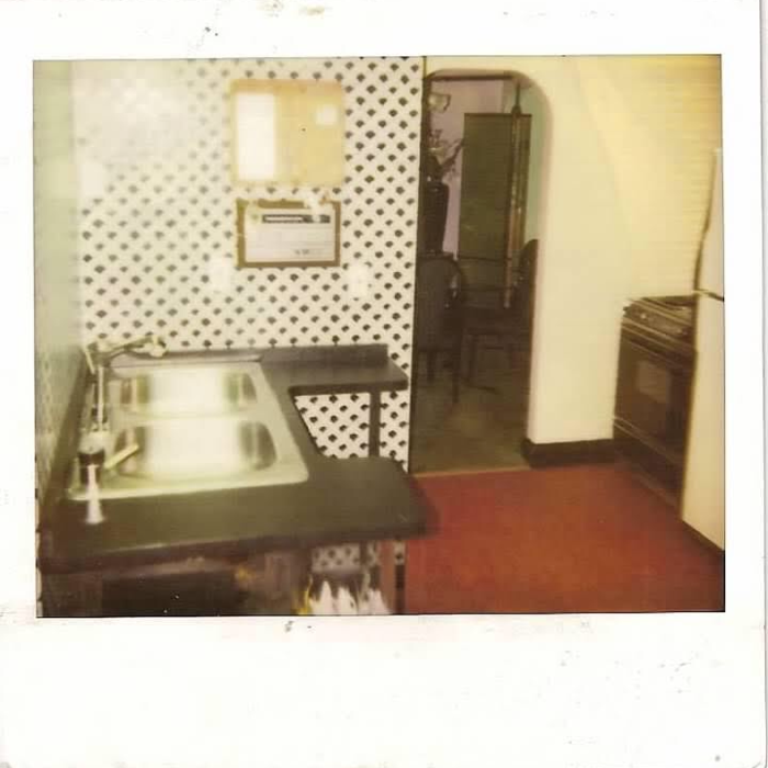 Old Kitchen-A New Addition & Step down Dining Room