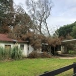 Tree Service Project