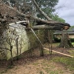 Tree Service Project