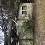 Tree Service Project