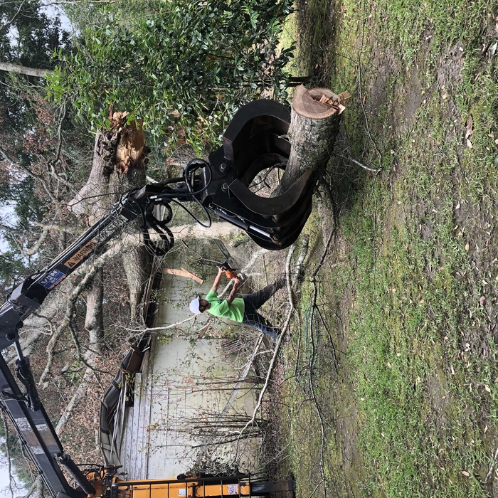 Tree Service Project