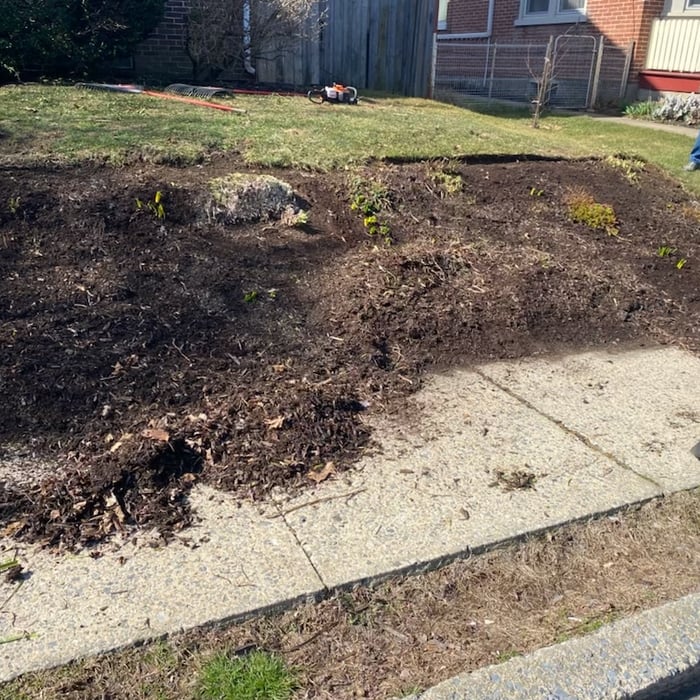 Landscaping Project
