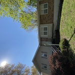 New Plant Install and Mulching