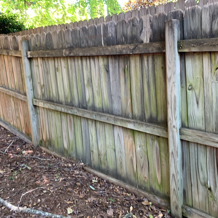 Wood Fence Restoration