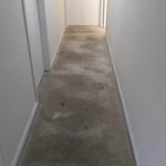 Carpet cleaning