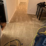 Carpet cleaning
