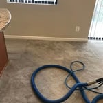 Carpet cleaning